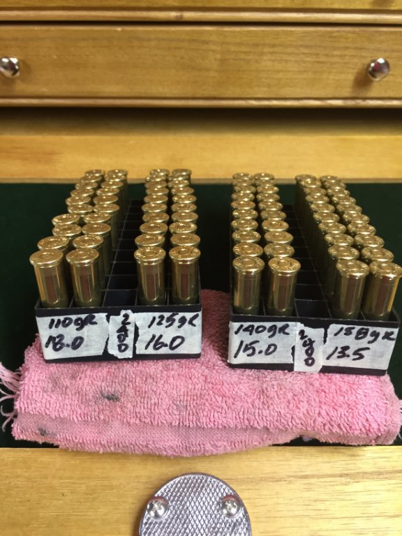 Reloads 1-31-19 001.JPG