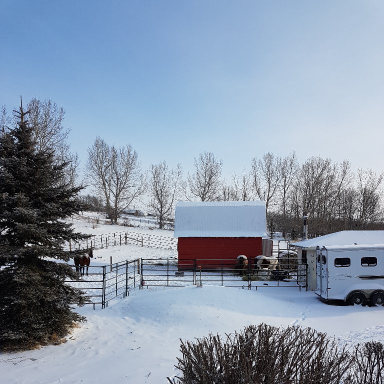 20190209_093317.jpg
