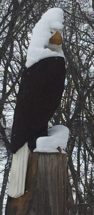 Legal Eagle in snow.jpg