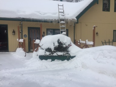 Snow Feb 2019 front door.jpg