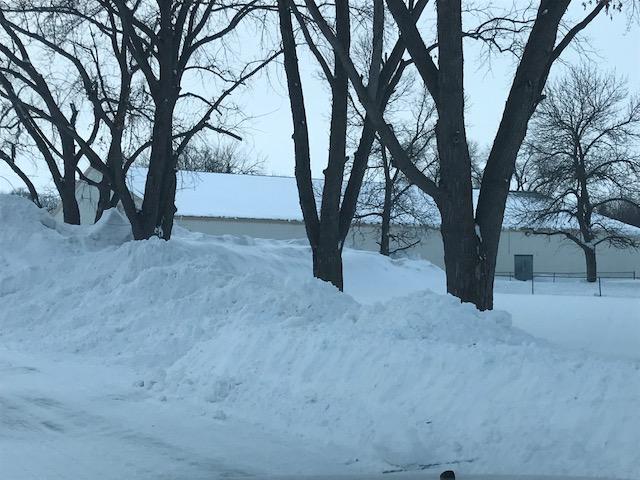 190221 002 site 5 today 001.jpg
