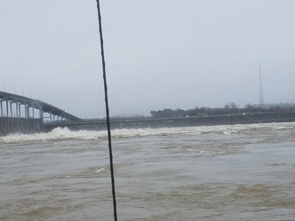 20190222_133033.jpg