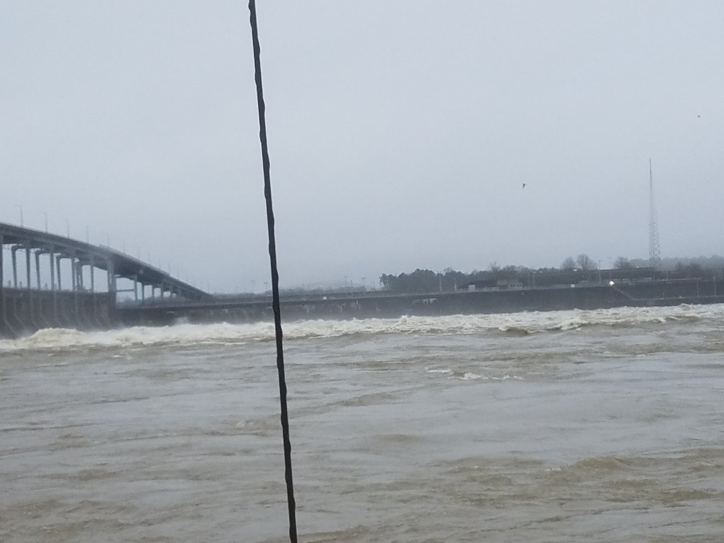 20190222_133032.jpg