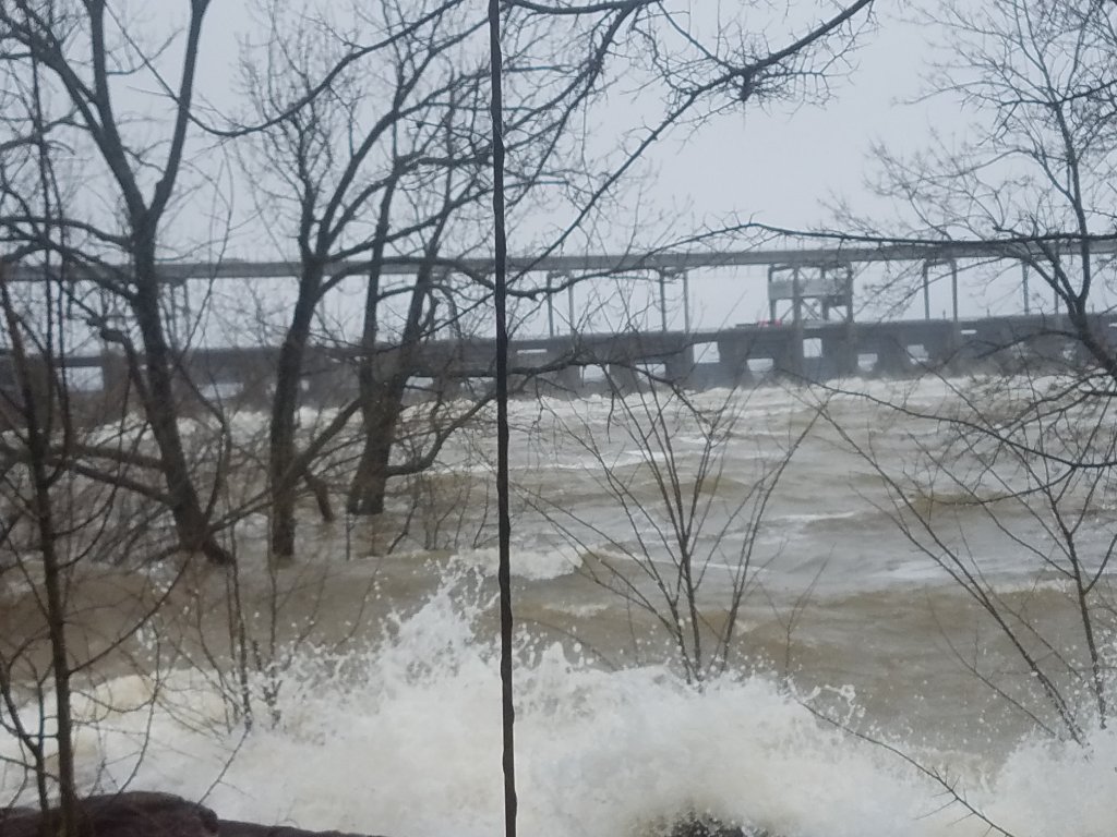 20190222_133626.jpg