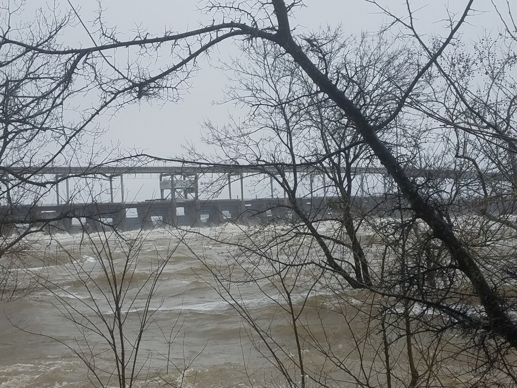 20190222_133622.jpg
