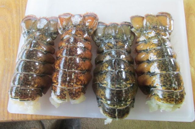 190315 002 Split Shell Lobster 001.jpg