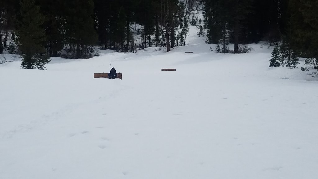 20190324_145230.jpg