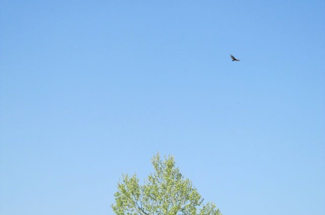 190326 001 clear sky 003.jpg