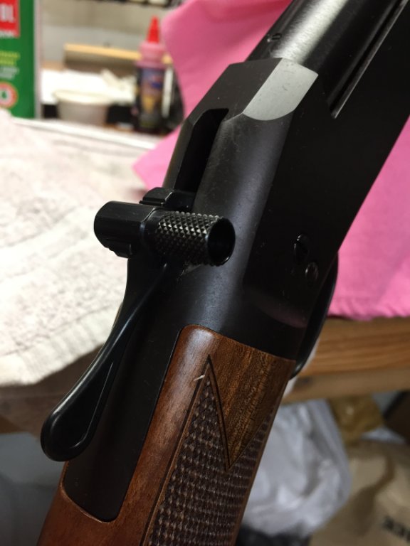 Henry 223 SS Apr 2 2019 010.JPG