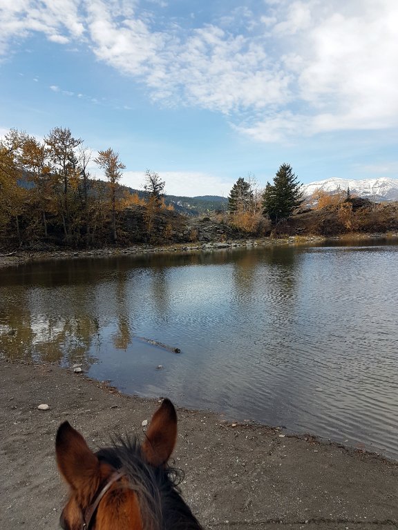 20181019_114251_resized.jpg