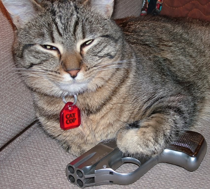 catcop1.jpg