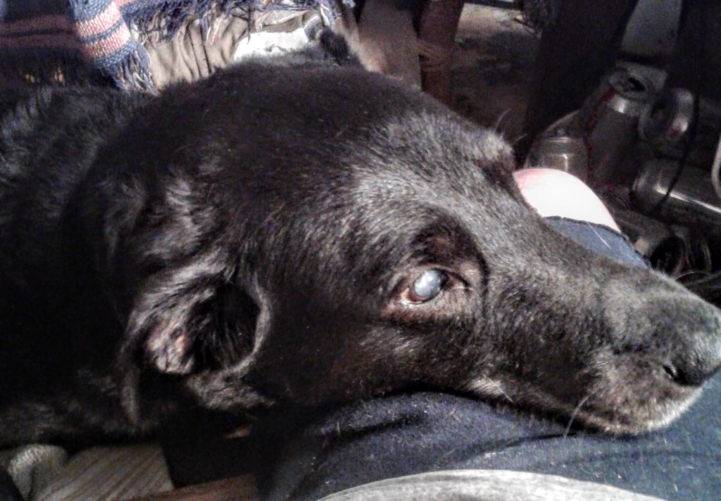20190407_200828~2.jpg