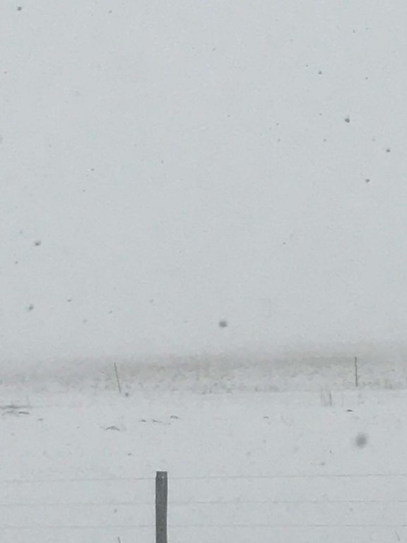 190411 002 April Estelline Snow 003.jpg