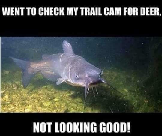 facebook_1550782221562001.jpg