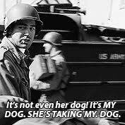 dog.jpg