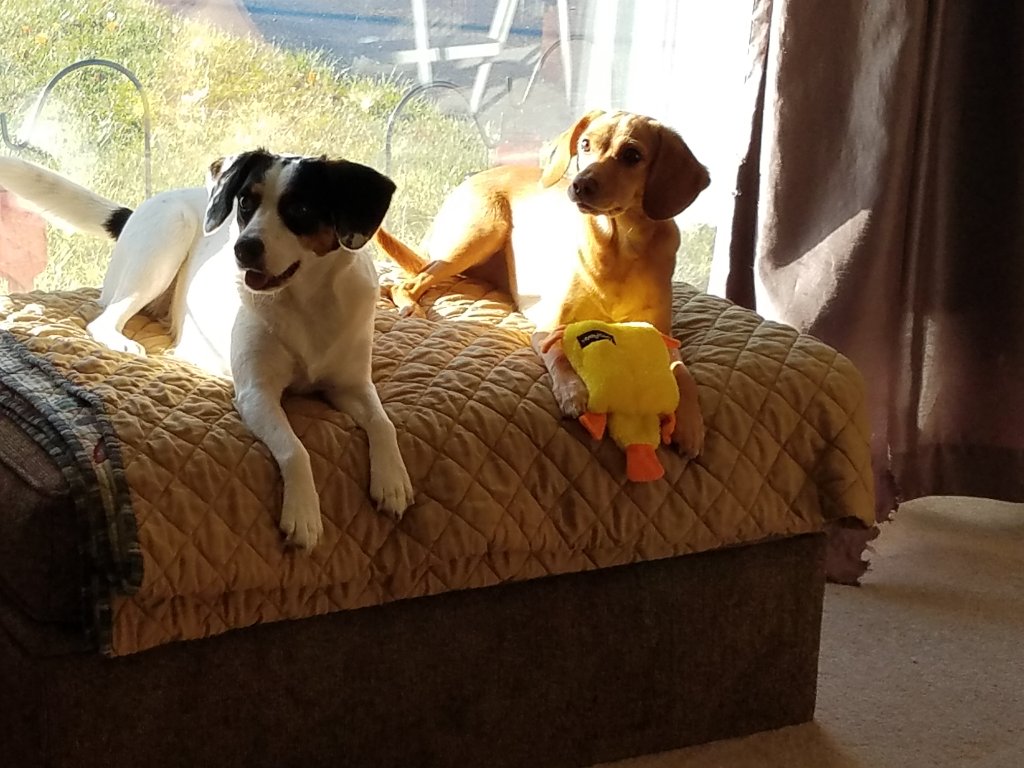 20181202_092546.jpg