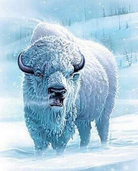 White Buffalo.jpg