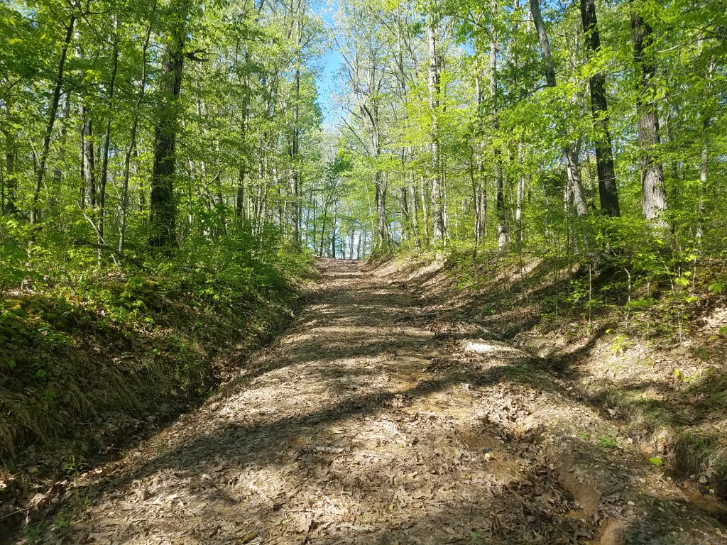 20190421_092837.jpg