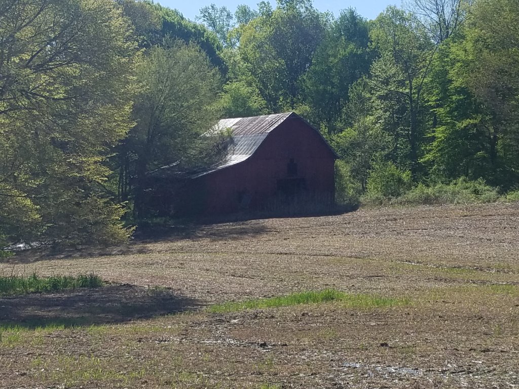 20190421_093346.jpg