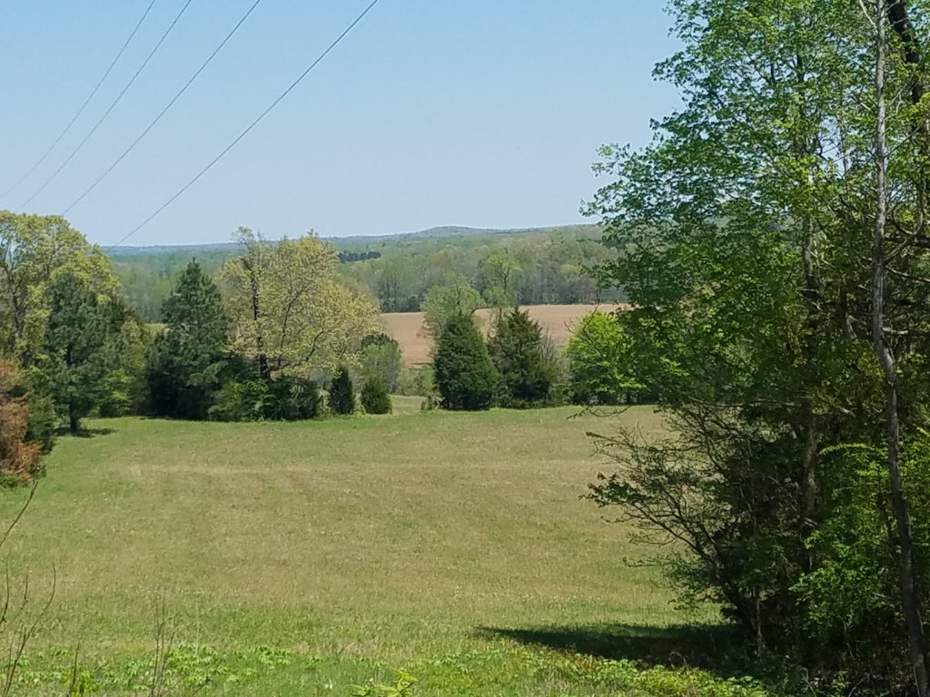 20190415_125922.jpg