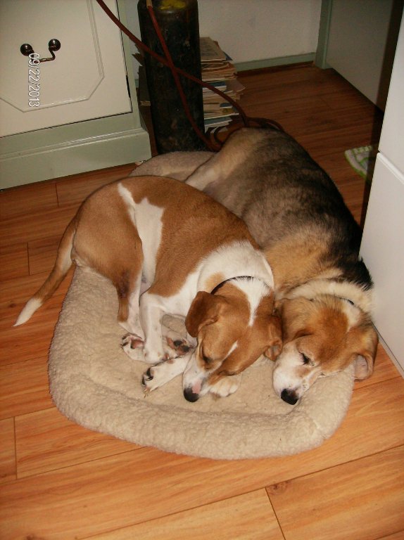 Doxy N Chilly.jpg