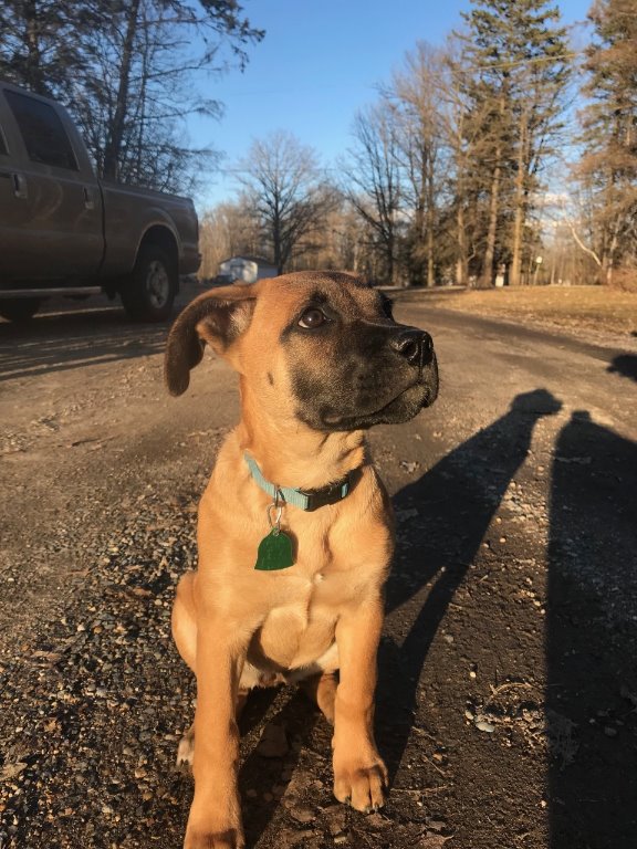 maggie.jpg