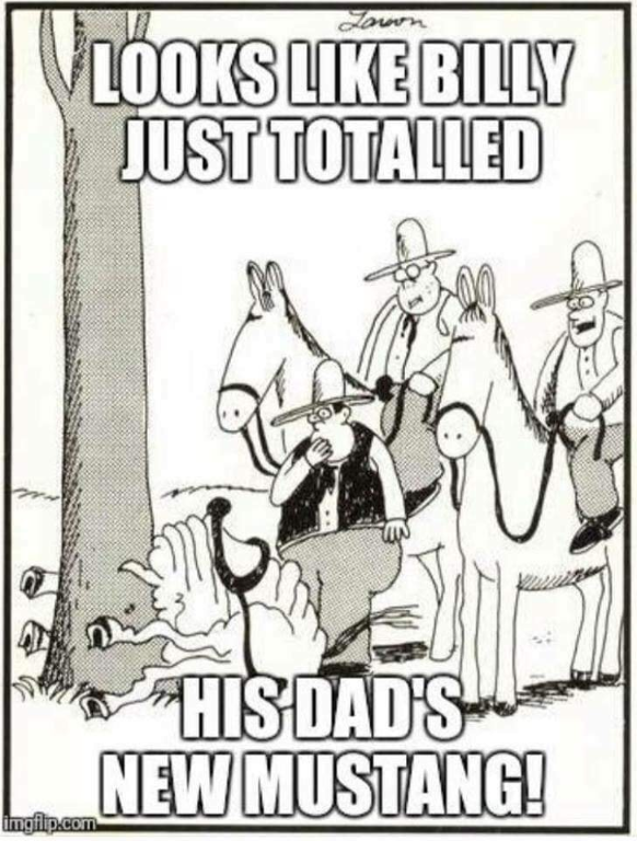 tapatalk_1558008286596.png