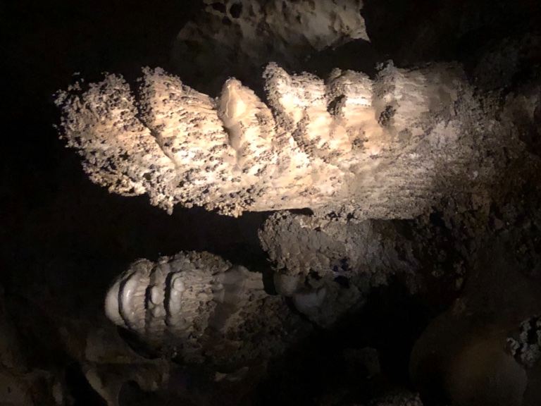 B406630B-A4CF-4D6D-A07B-02C724D98284.jpeg