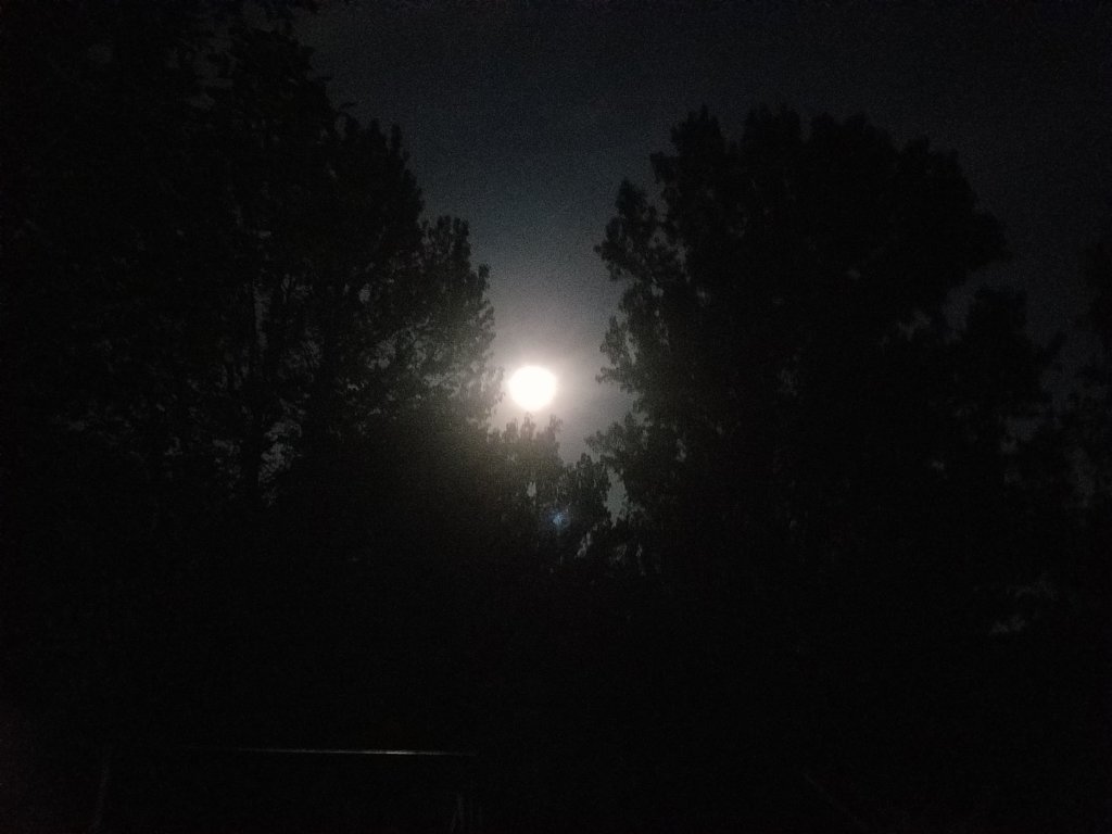 20190517_211410.jpg