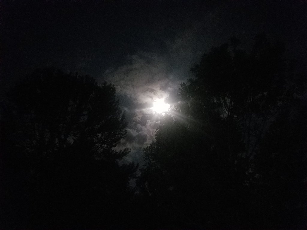20190517_223853.jpg