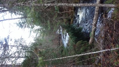 20151030_095159.jpg