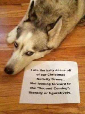 unnamed (37).jpg