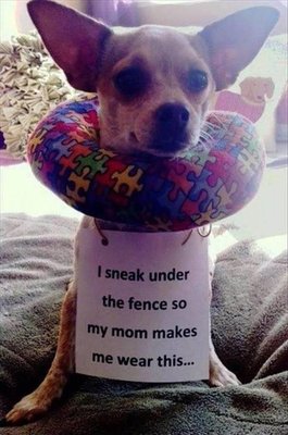 unnamed (38).jpg