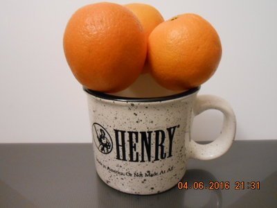 Henry Mug and Oranges.jpg