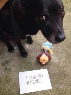 unnamed (41).jpg