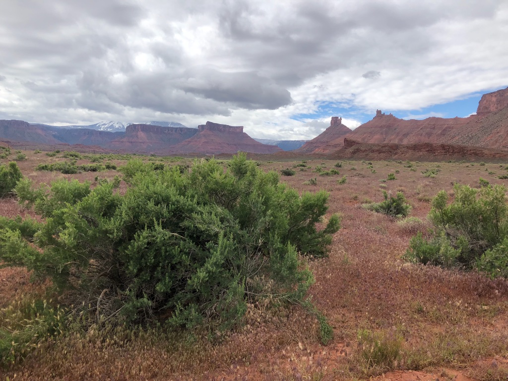 61366A9B-EE93-43F3-B07A-F3D2EA8ED714.jpeg