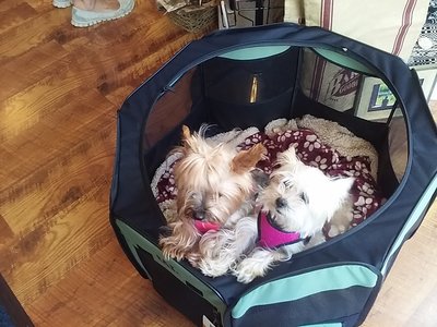 20160722_143534.jpg
