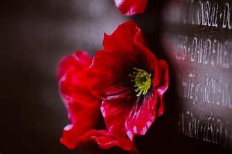 Poppy as memorial.jpg
