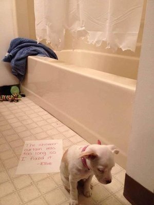 unnamed (35).jpg