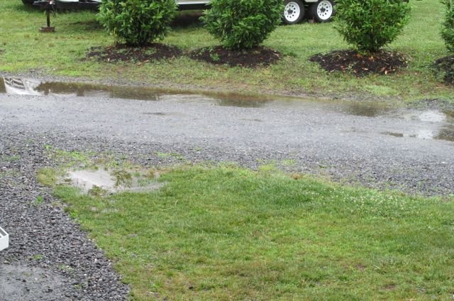 190609 001 wet morning 002.jpg