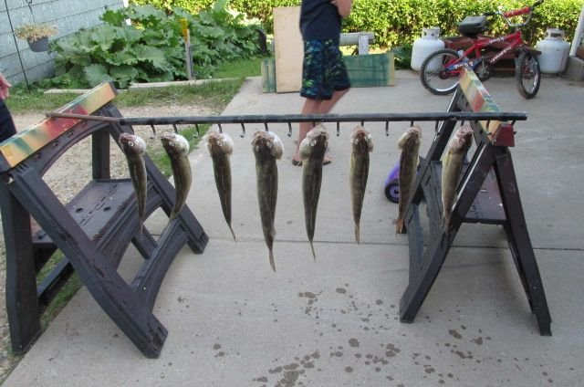 190616 002 fishing with Bob & Jason 009.jpg