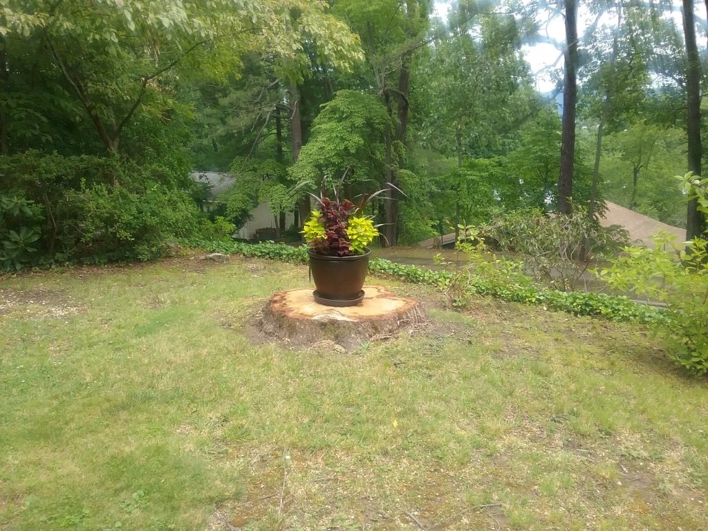 20190619_124348.jpg