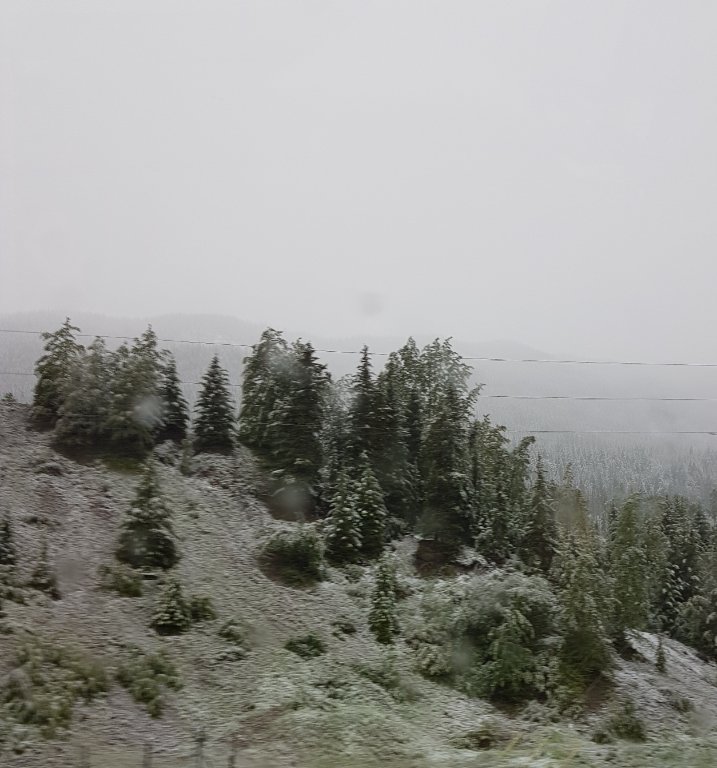 20190621_065216.jpg