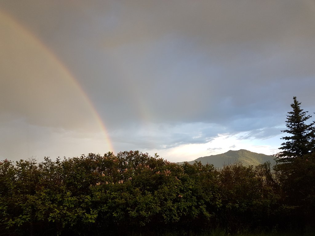 20190625_210009.jpg