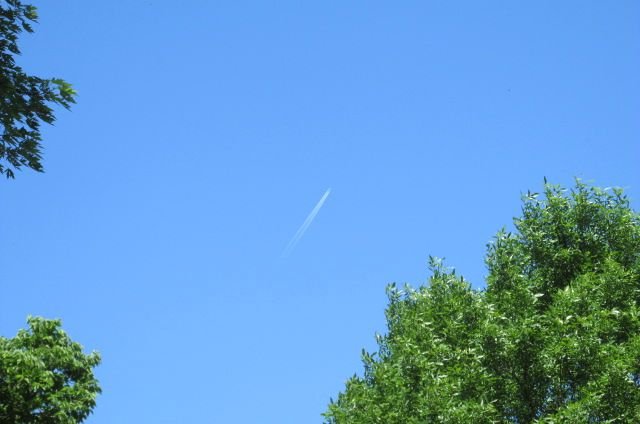 190625 001 clear blue 001.jpg