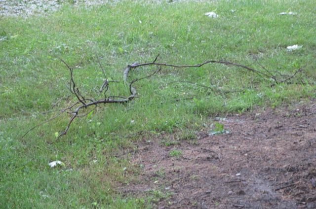 190701 001 overnight storm 002.jpg
