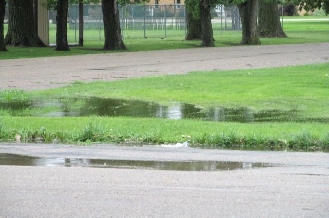 190705 001 another rainy morning 003.jpg