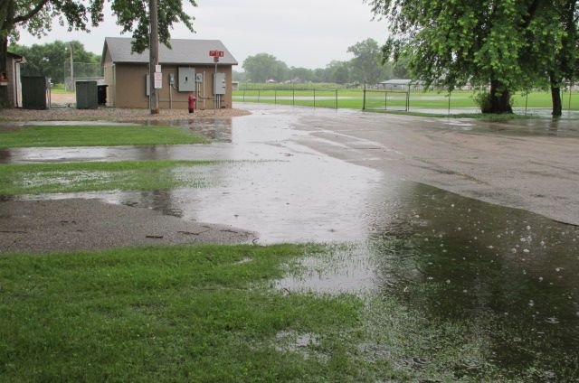 190709 003 another rainy morning 001a.jpg