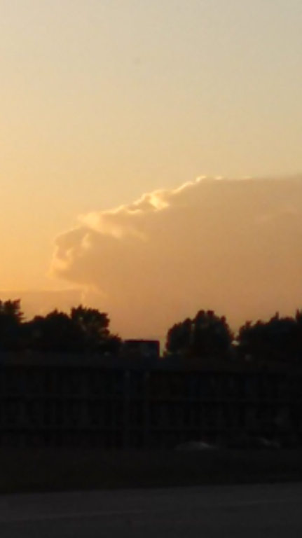 IMG950730.png