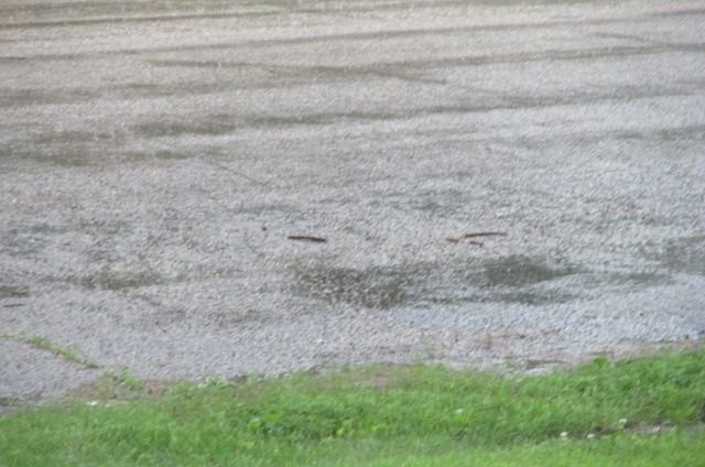 190712 001 20% chance of rain 001.jpg